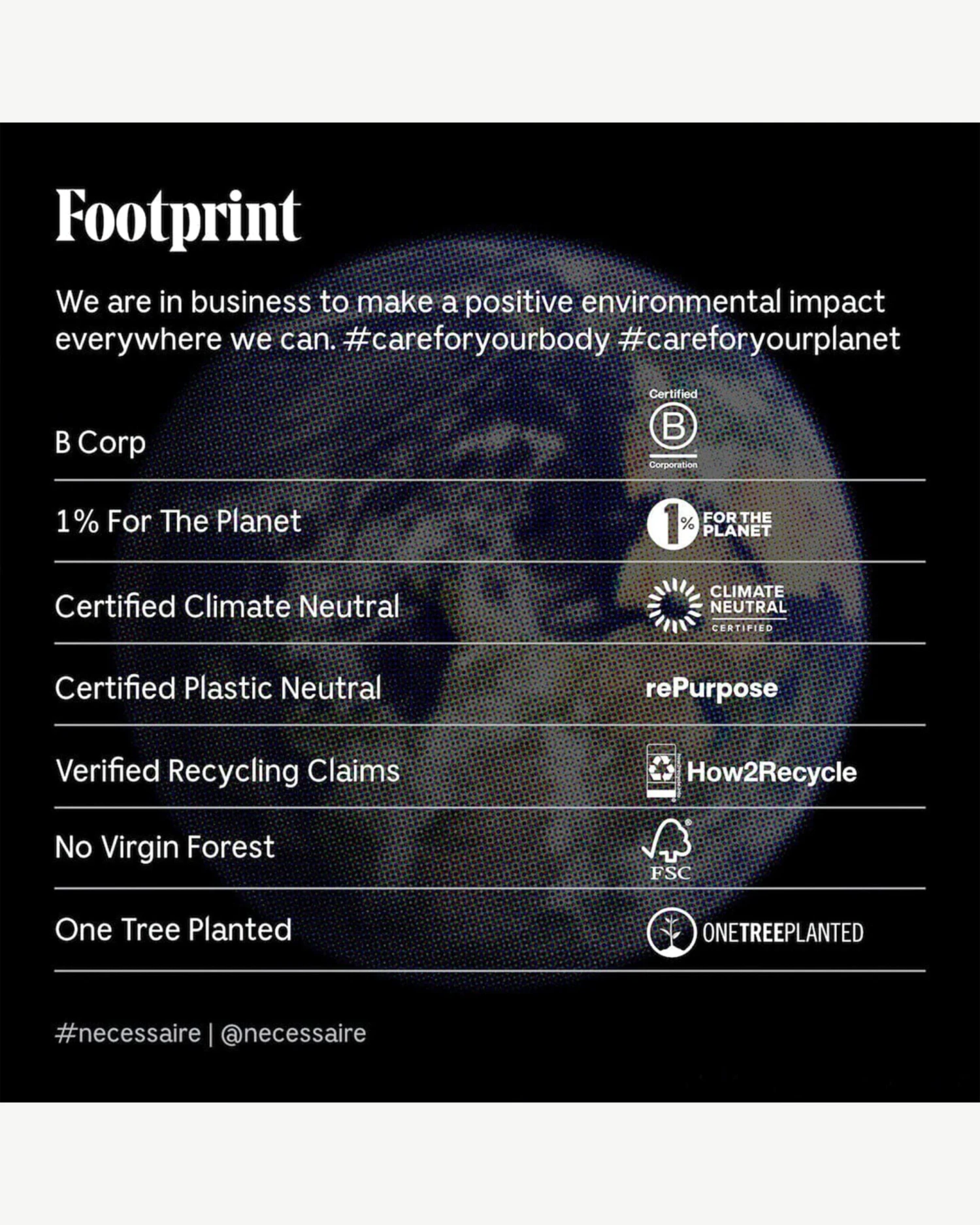 The Shampoo - Image 9