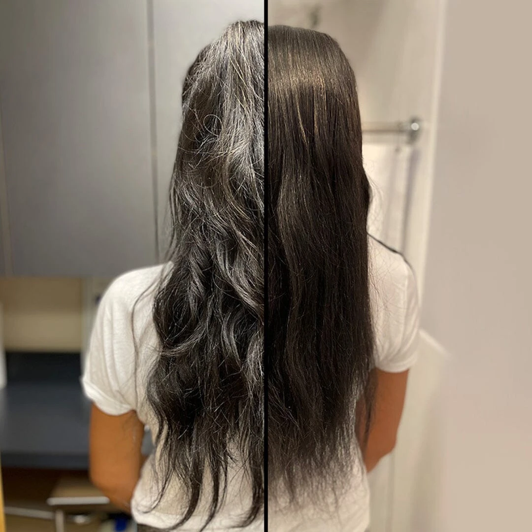 The Mane Agent - Image 2