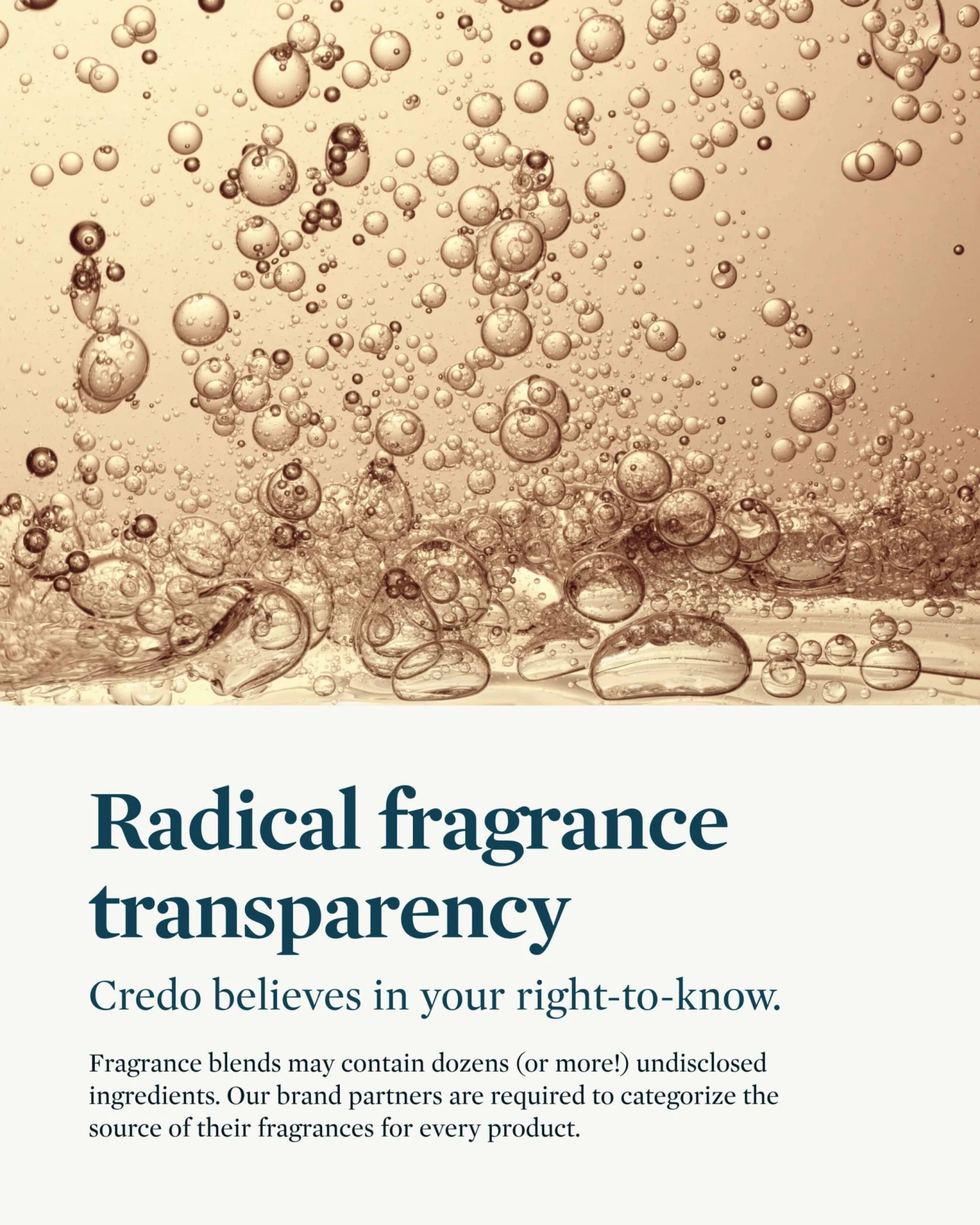 The Refresh Mint - Image 11