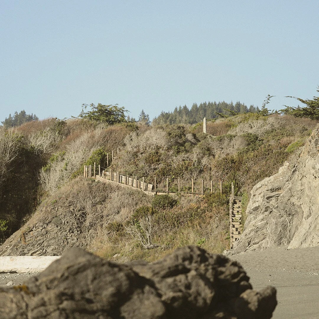 Good Seed Conditioner - Image 8