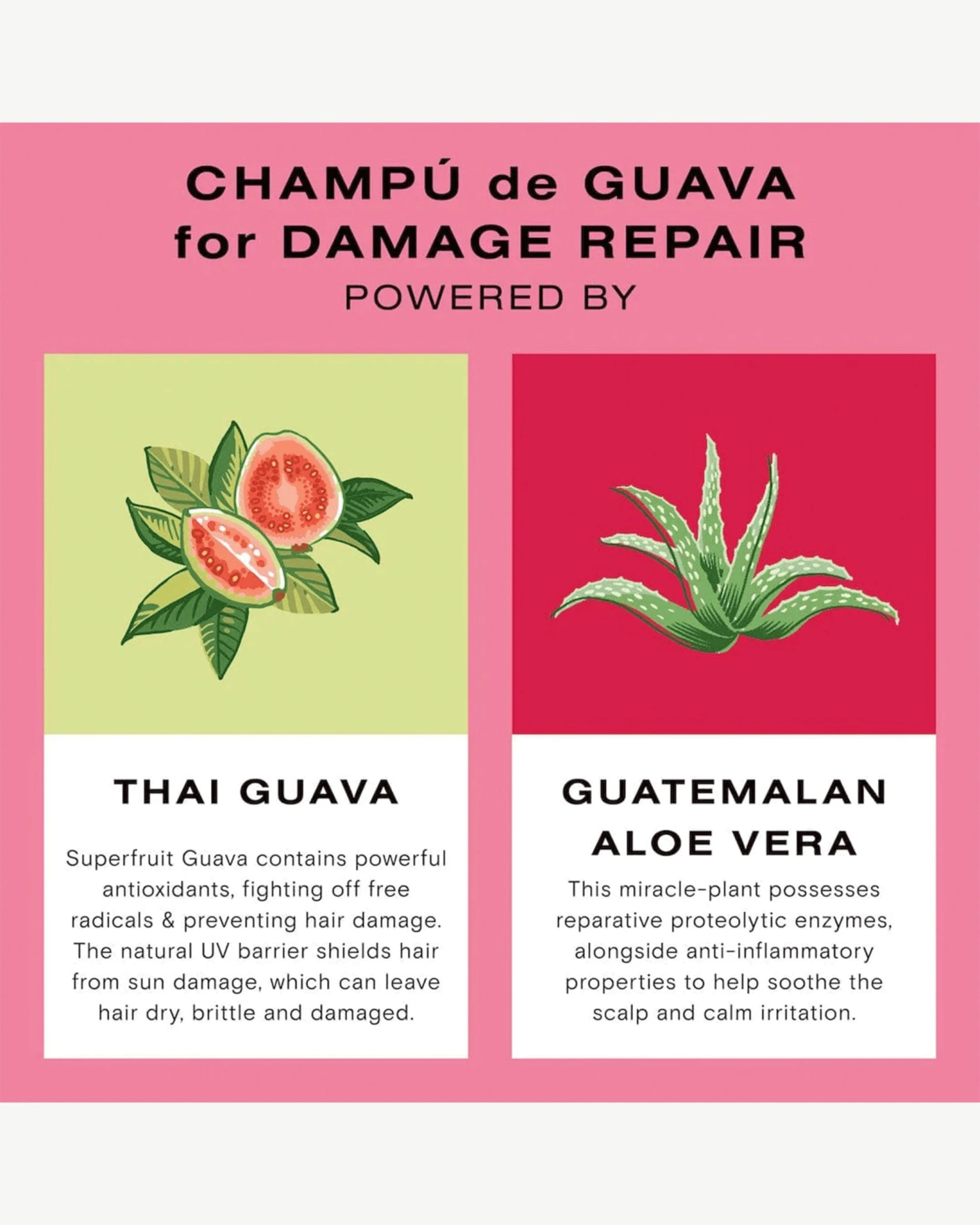 Guava Shampoo For Color Treated Hair And Damage Repair - Image 8