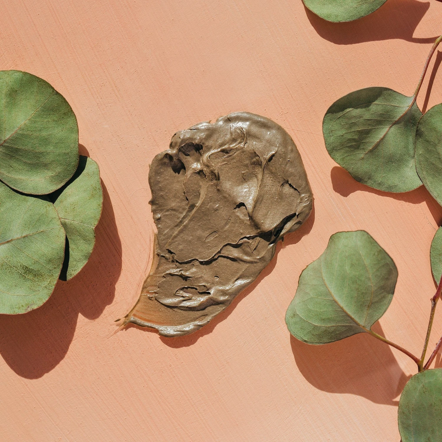 Deep Forest Clay - Image 2