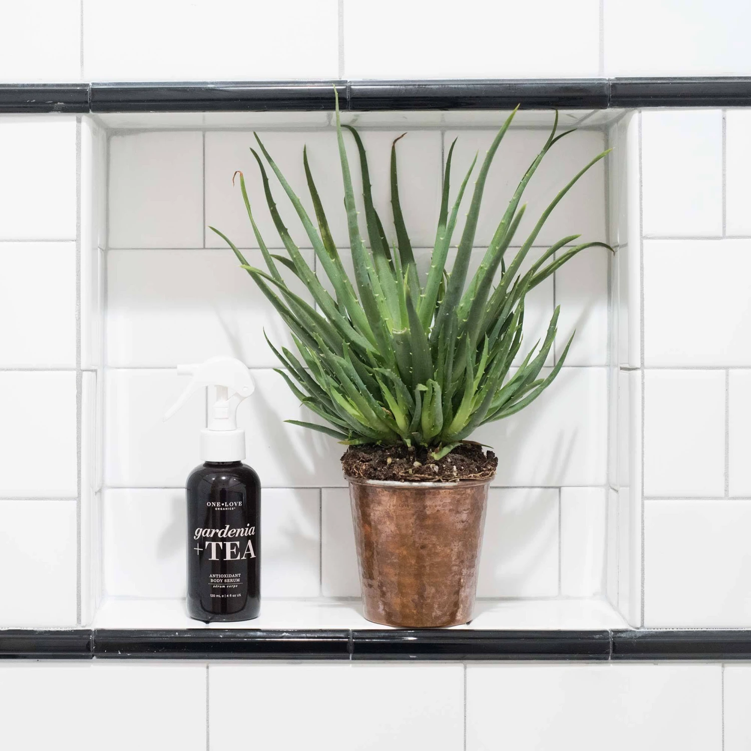 Gardenia + Tea Antioxidant Body Serum - Image 4